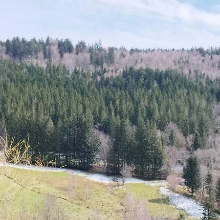 Maison De Montagne Vue Magnifique Ventron